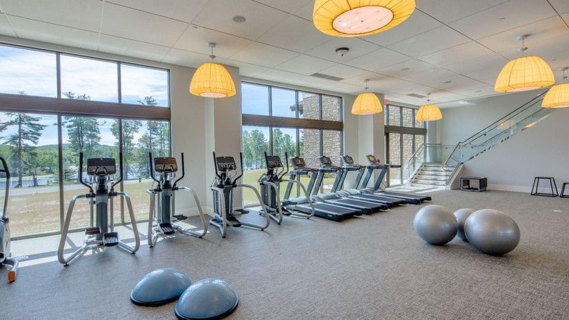 A bright, spacious gym features treadmills, ellipticals, stability balls, and balance trainers, with large windows overlooking an outdoor area at YO1 Longevity & Health Resorts