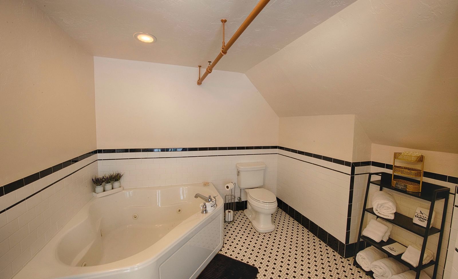 full view image of the bathroom featuring a bathtub along with a commode and a small utility rack in the corner - Historic Tapoco Lodge