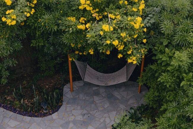 A hammock set under a flowering yellow tree surrounded by lush greenery on a paved stone area at Karma Chalets.