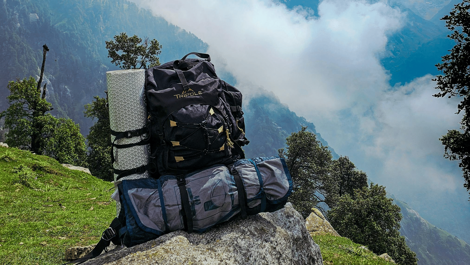 pexels-rover-mohit-92806349-32563056