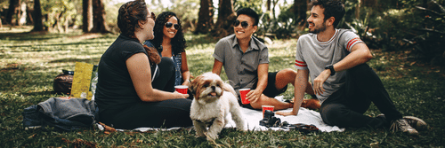 pexels-helena-lopes-745045