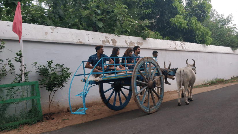 A group of people travelling on a bullock cart, one of the many things to do in Chettinad at Chidambara Vilas, near the road with shrubs near a wall and trees behind it.