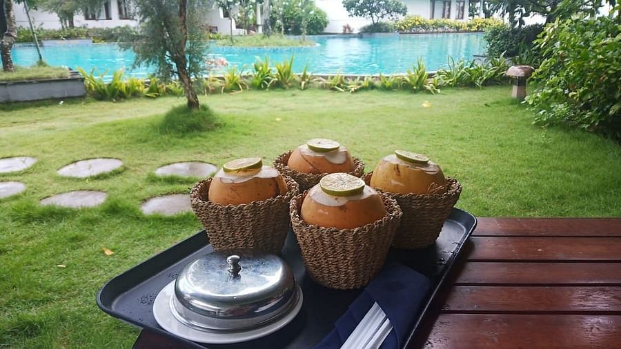 Food tray with ready-to-drink coconut water - Rhythm Kumarakom