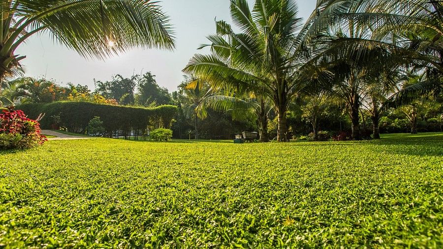 Wonderful View, Hamsa Villas Goa, Best Resort In Goa