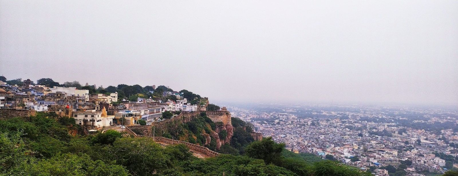 image of a city view from the mountains amidst lush greenery