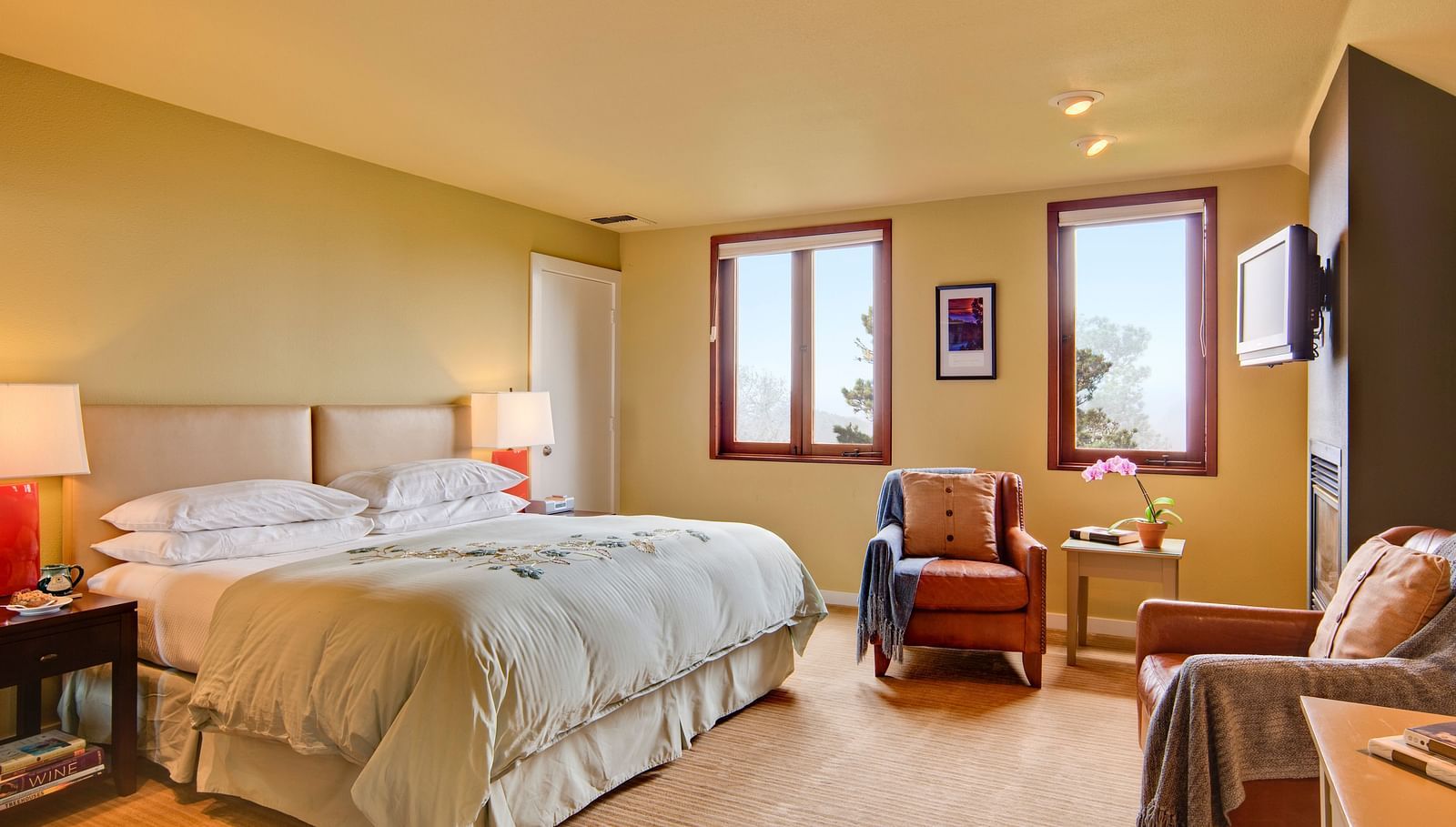 A peaceful bedroom setting with a double bed, a TV and windows with views, offering a perfect retreat for relaxation and comfort - Brewery Gulch Inn & Spa