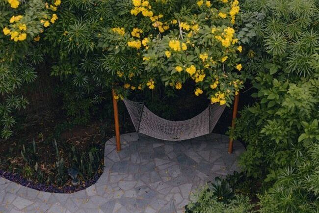A hammock under a flowering yellow tree surrounded by lush green foliage and stone pavement at Karma Chalets.