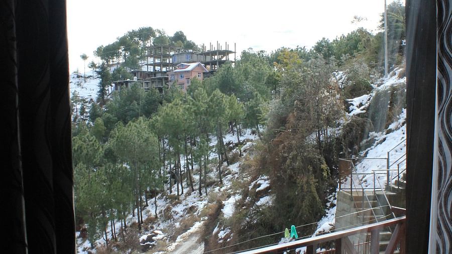 A view of outside from the bedroom - Silverpine Apartments & Homestay, Mehli 