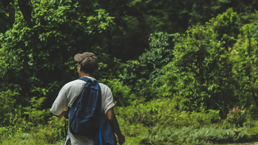 trekking 