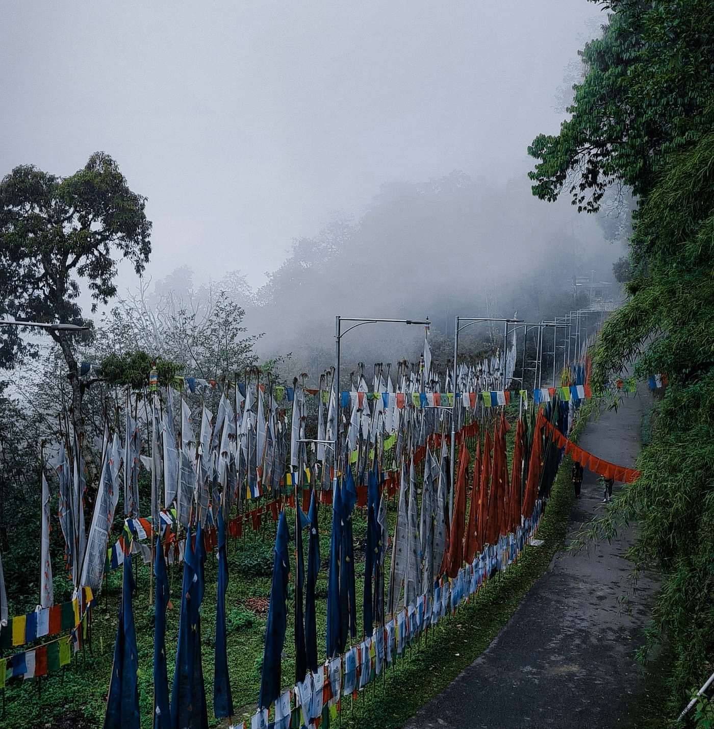 rohan-kumar-iWwL17iphbs-unsplash