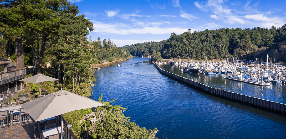 A waterway flows through trees, leading to a marina filled with boats.