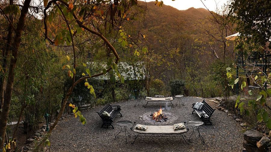Bonfire amidst benches in the forest