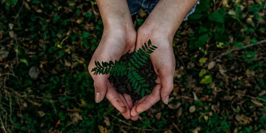 alt-text noah-buscher-1162202-unsplash