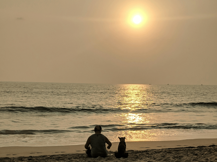A person sitting with his dog on the shores of Agonda Beach and watching the sun setting over the horizon with waves seen on the Arabian Sea.