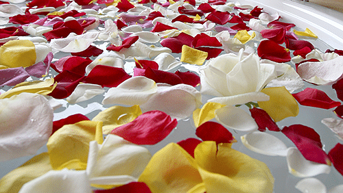 Rose petal bath spa in chennai at Hablis Hotel, Chennai