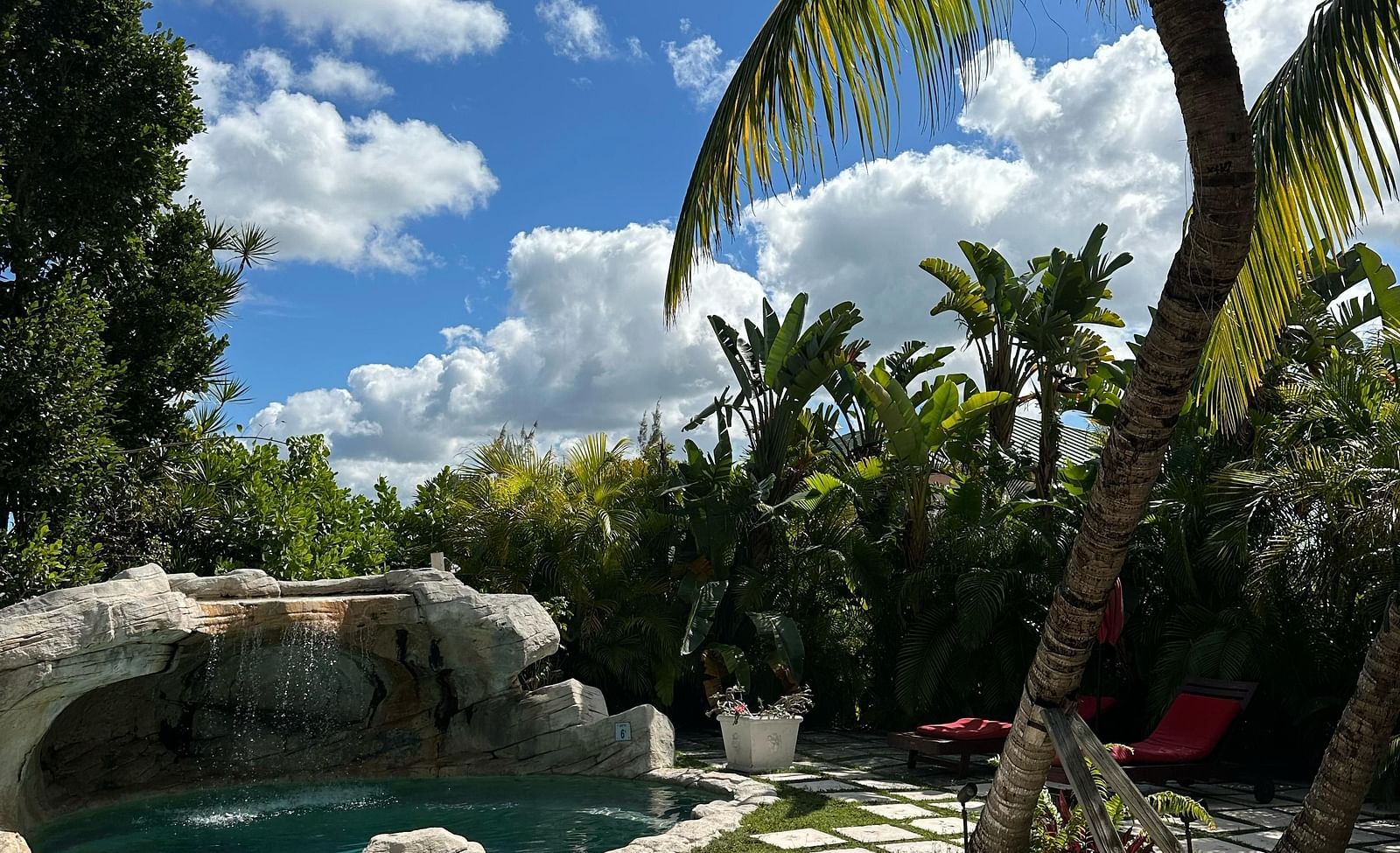 Outdoor pool area surrounded by palm trees and stone walkway | A Stone's Throw Away
