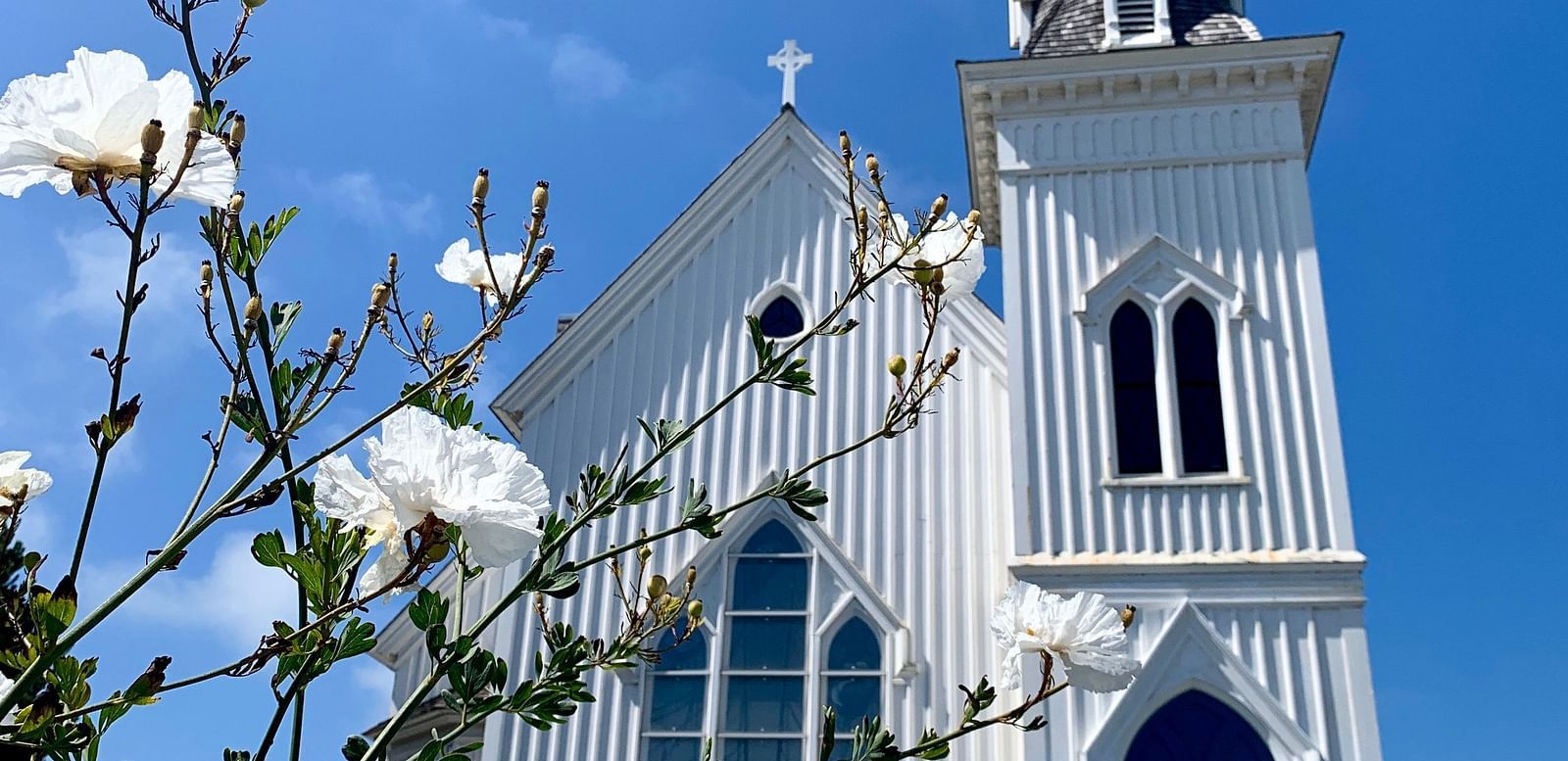 A charming church with a tall steeple set against a clear blue sky, framed by blooming flowers in the foreground.