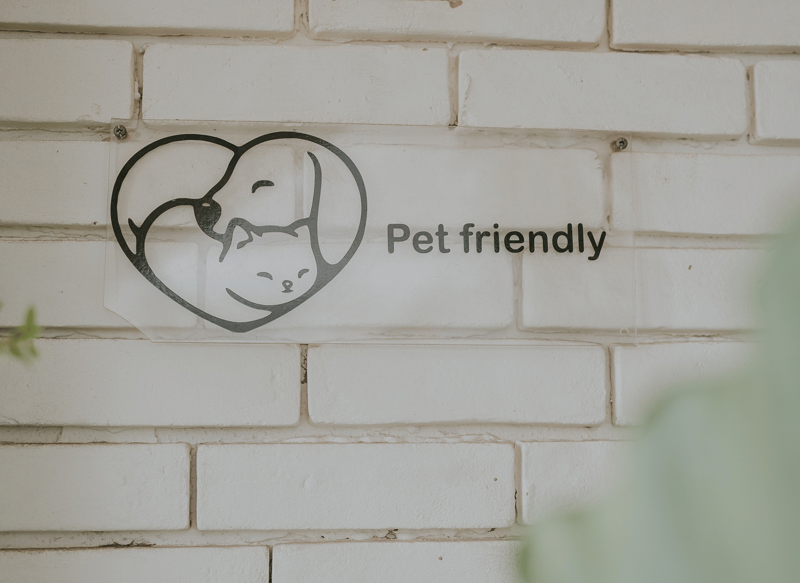 pexels-amar-16934491