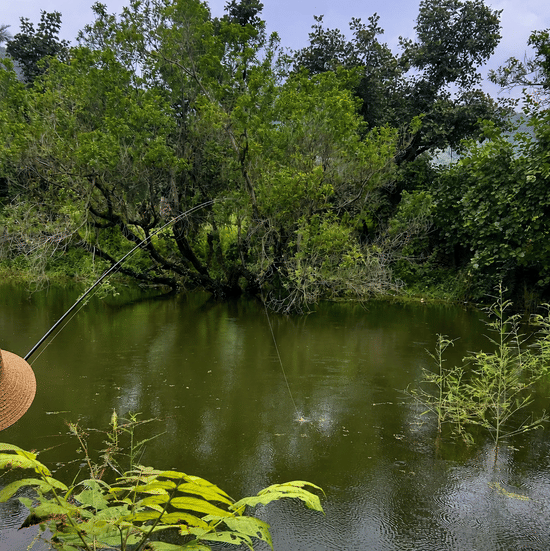 Fishing at the stream -Surya Bagh-Experiences-3
