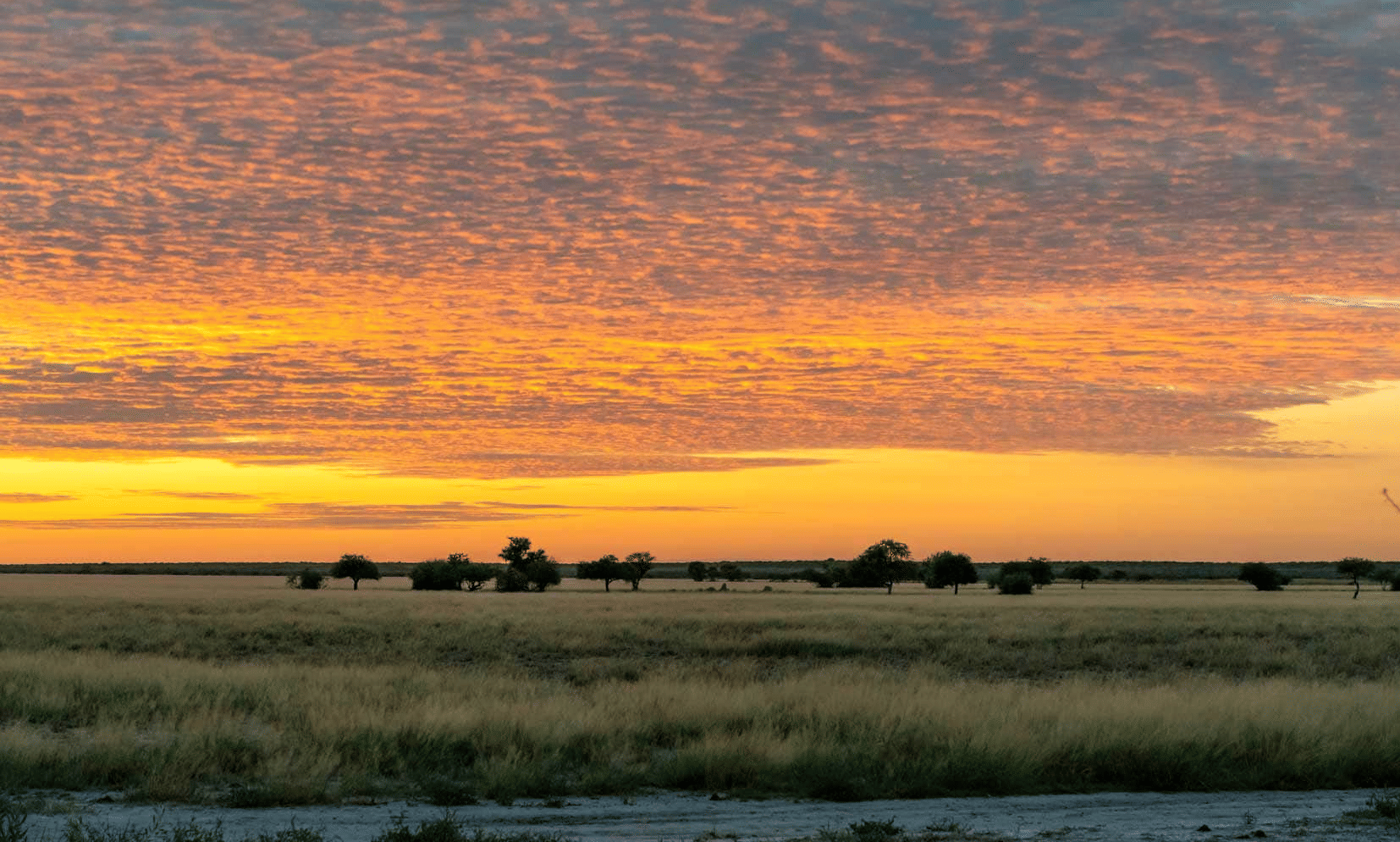 CKGR orange-sunrise PIPER PAN