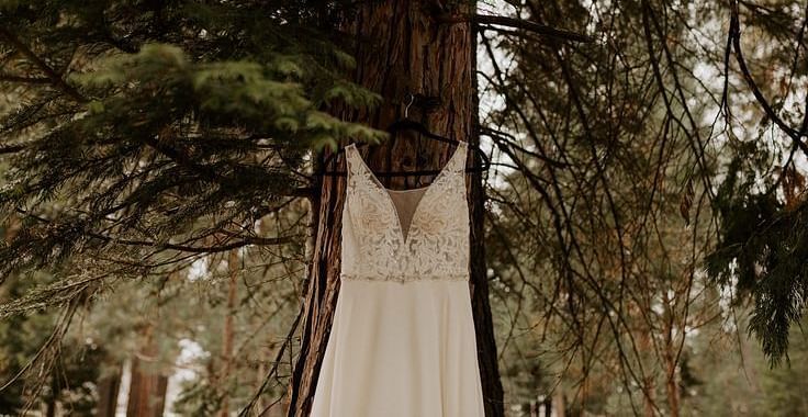A wedding gown hung on a tree in a forest
