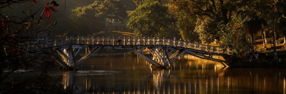 Wooden footbridge with angled supports spans a calm lake, mirrored in golden water, amid trees in warm late light.