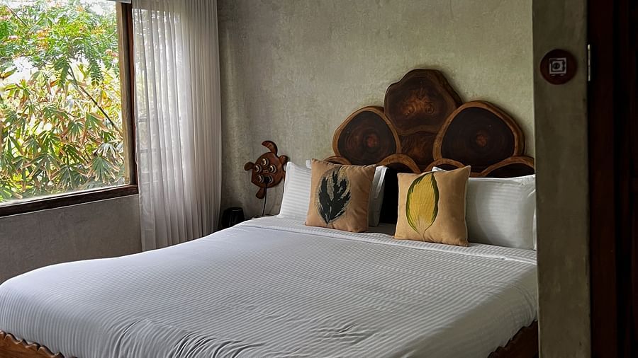 Albacore-3 - Deluxe Albacore Room, 250 sq. ft., featuring a king-size bed and nature views through large windows.