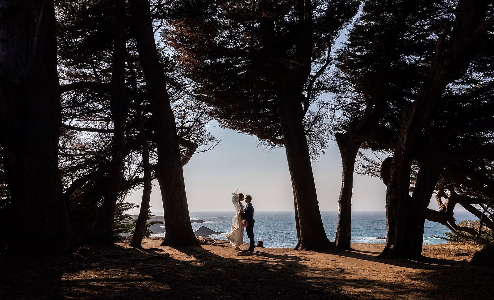 Couple under wind-swept trees with golden sunlight filtering through