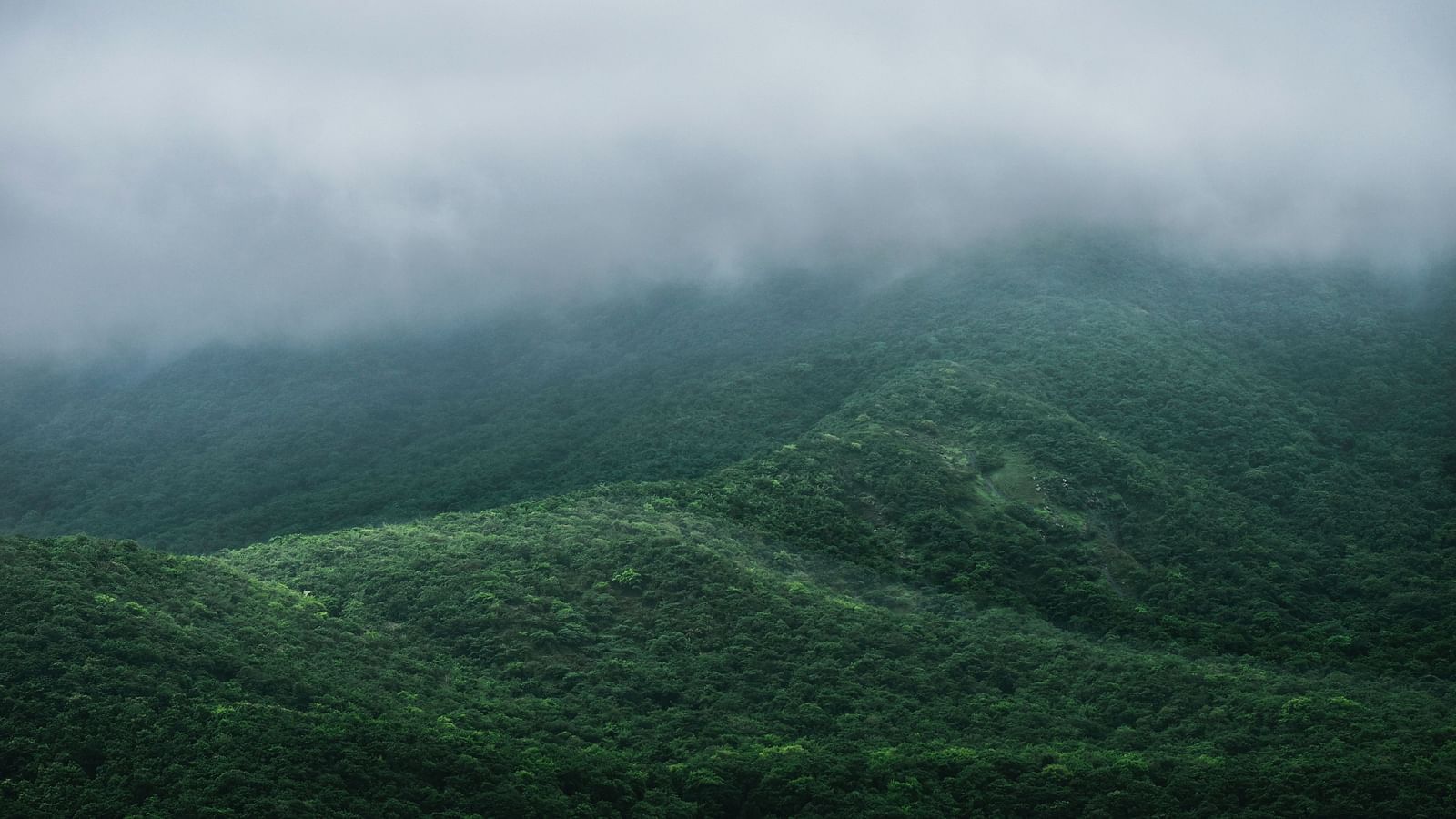 an image of a serene view of Mist-filled hills 