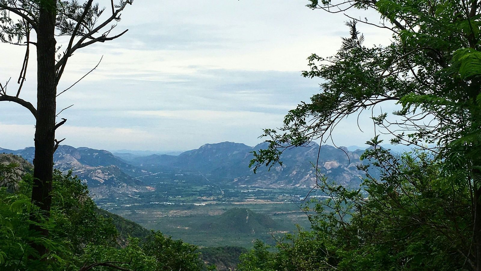 an overview of the town of Tirupathi as seen from over a hill with trees on either side