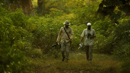 Naturalists exploring a forest trail through dense vegetation during a guided wilderness walk in the Aravalli foothills near Utsav Camp Sariska.