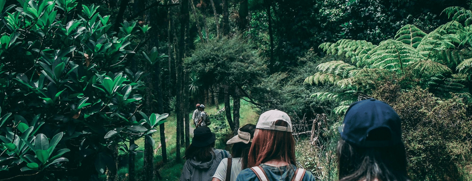 A group of trekkers walking along a narrow trail in the jungle.