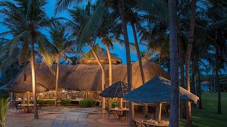 The Wharf-  A tranquil outdoor dining area surrounded by palm trees, showcasing a rustic gazebo and lush greenery in the background.