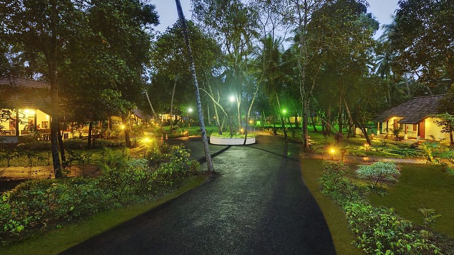 Evening view