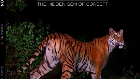 the image shows a tiger walking through tall grass in the night, with a text JAMOON on it.