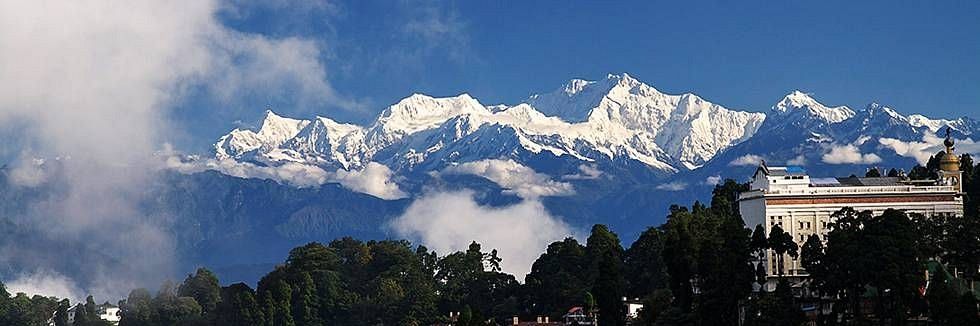 darjeeling 980