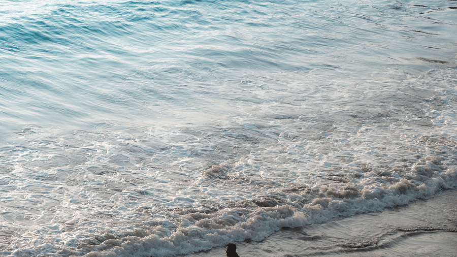 An aerial or high-angle shot of a person walking on a sandy beach next to the foamy edge of light blue ocean waves.