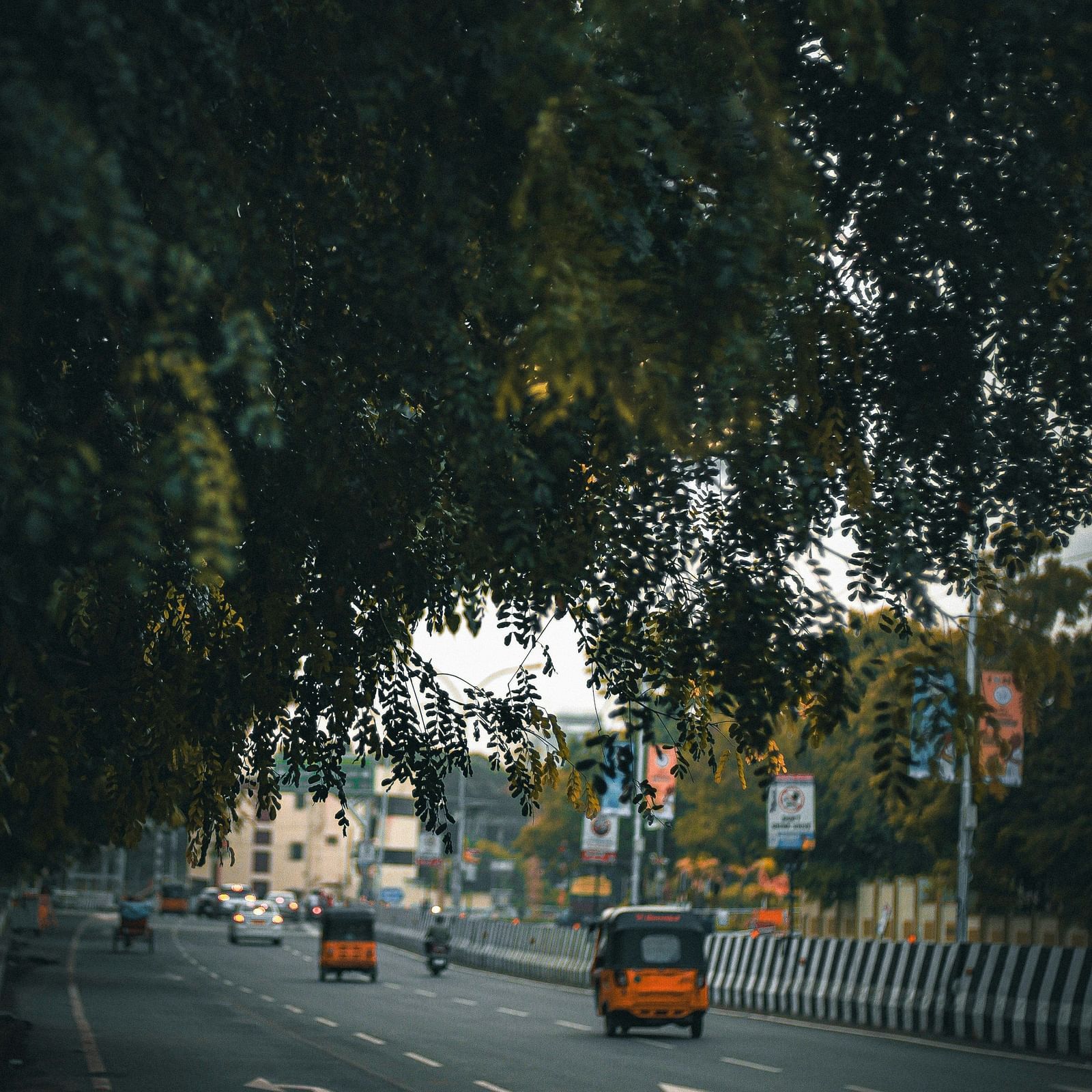 A blurred, vertical shot of a quiet asphalt road receding into the distance, framed by dark foliage on the sides, with two vehicles driving on it.