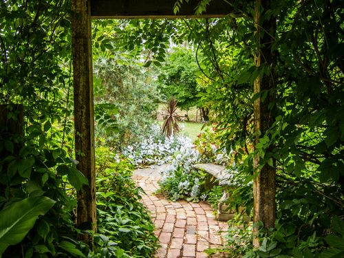 A stone pathway with greenery on either sides