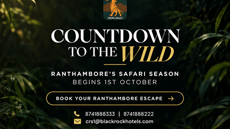 AamaGhati Wildlife Resort banner of a tiger peering through jungle grass, promoting Ranthambore safari season starting 1st October with booking details.