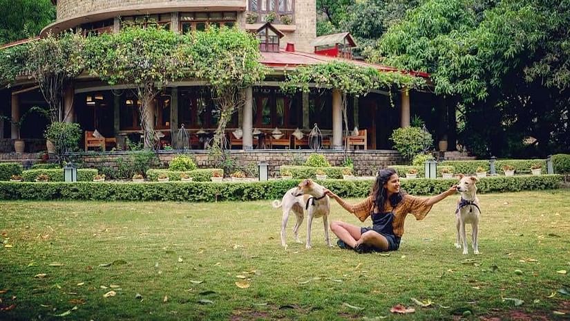 a girl sitting in the lawn with two dogs and she is petting them
