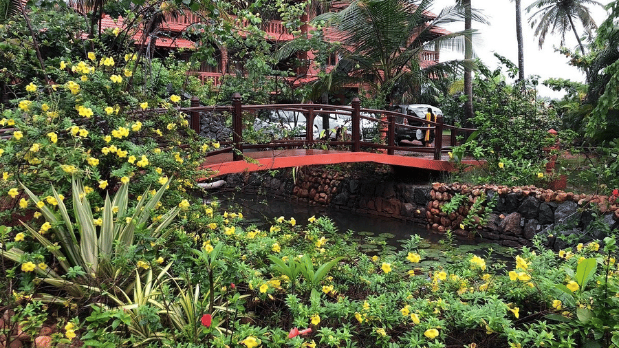 A lush tropical garden with yellow flowers, palm trees, and a wooden walkway at Paradise Lagoon Resort, Udupi.