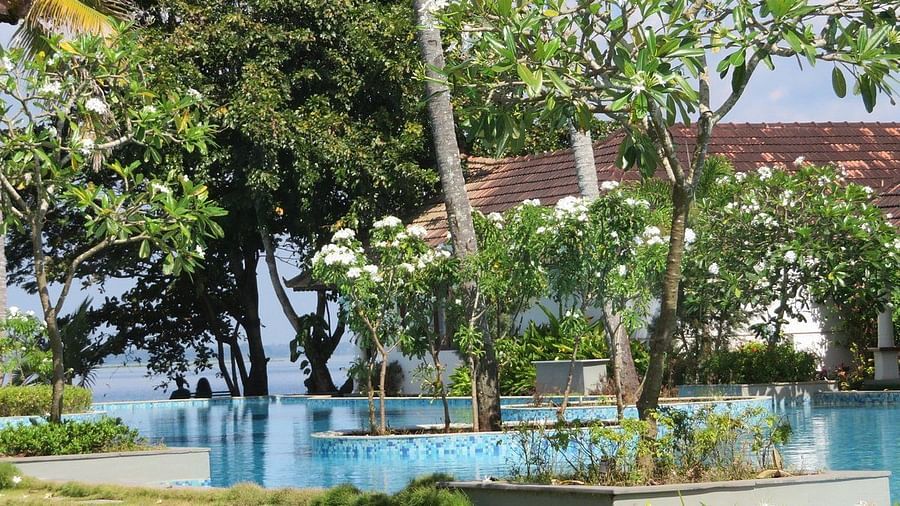 Greenery and flowers around Rhythm Kumrakom - Rhythm Kumarakom