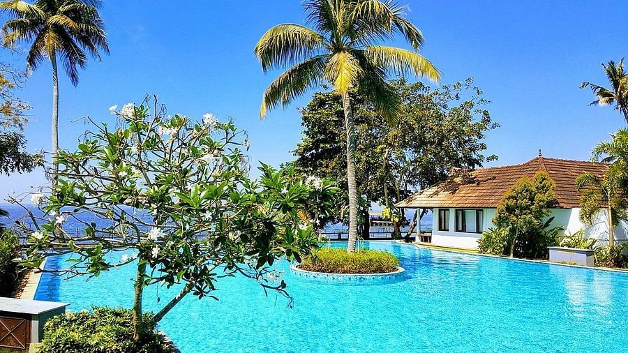 Swimming pool with white flower plant in the foreground - Rhythm Kumarakom