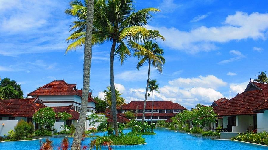 an image of coconut Trees in the middle of a swimming pool - Rhythm Kumarakom