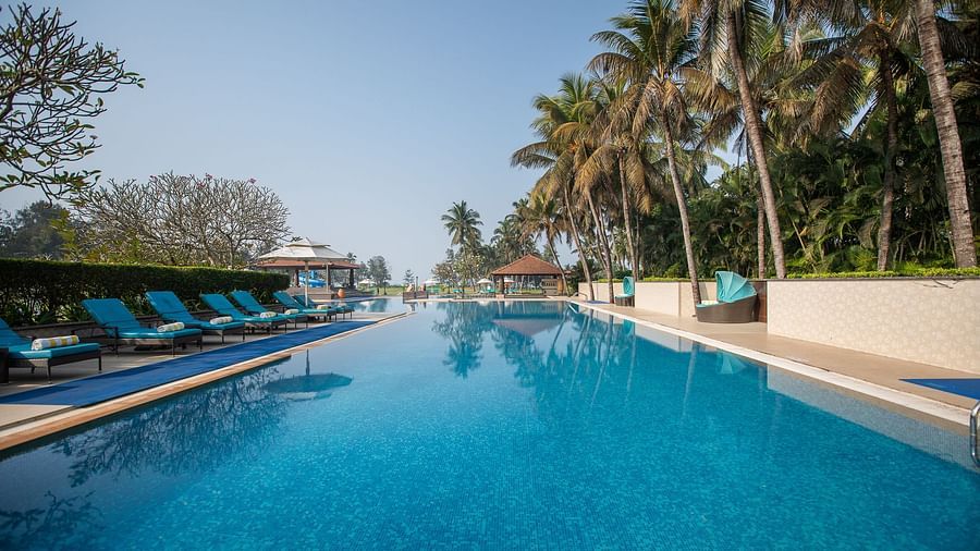 A picturesque view of the swimming pool with palm trees lined on the right side and an array of beach chairs on the left side 