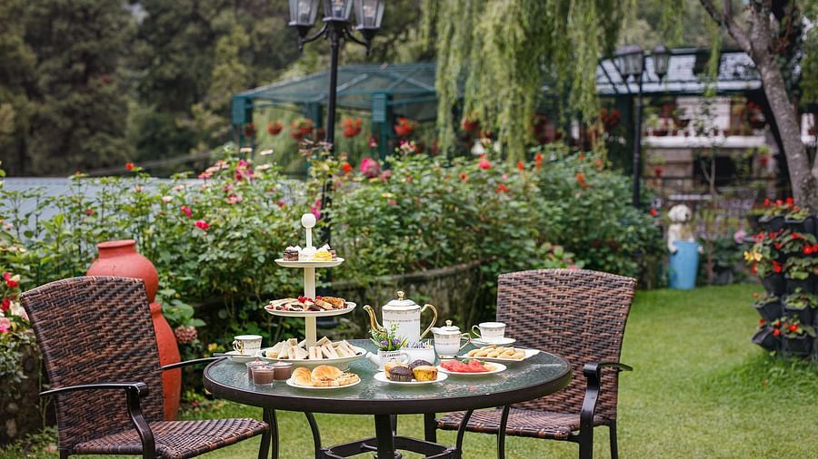 An outdoor sitting area with chair and table and surrounded  with lush greenery 