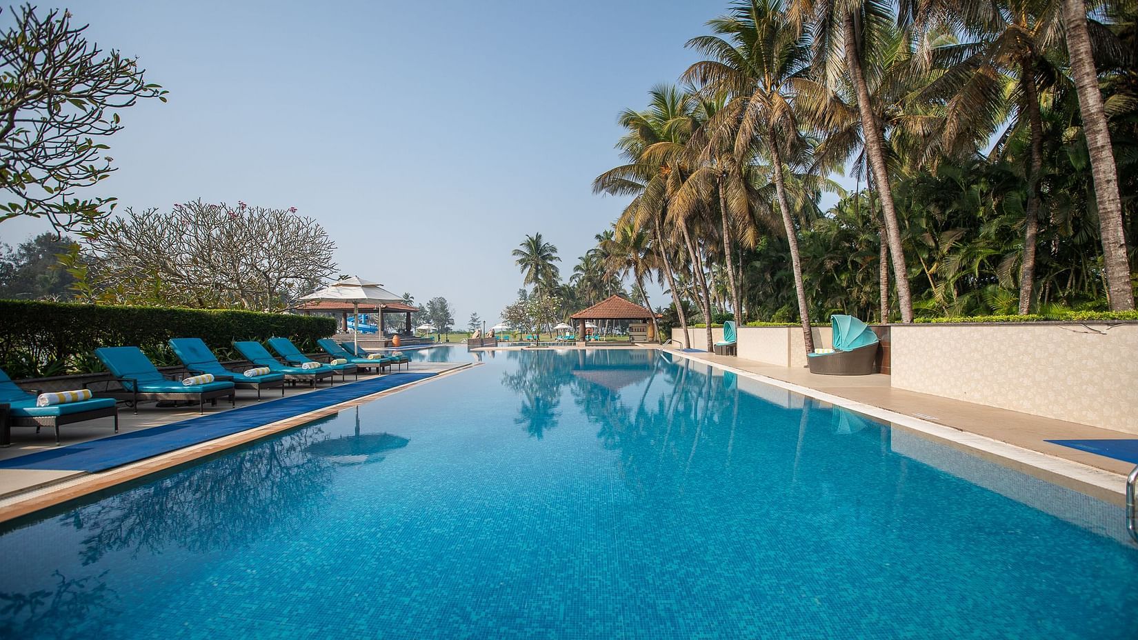 A picturesque view of the swimming pool with palm trees lined on the right side and an array of beach chairs on the left side 