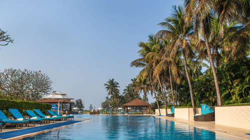 A picturesque view of the swimming pool with palm trees lined on the right side and an array of beach chairs on the left side | Kenilworth Resort and Spa