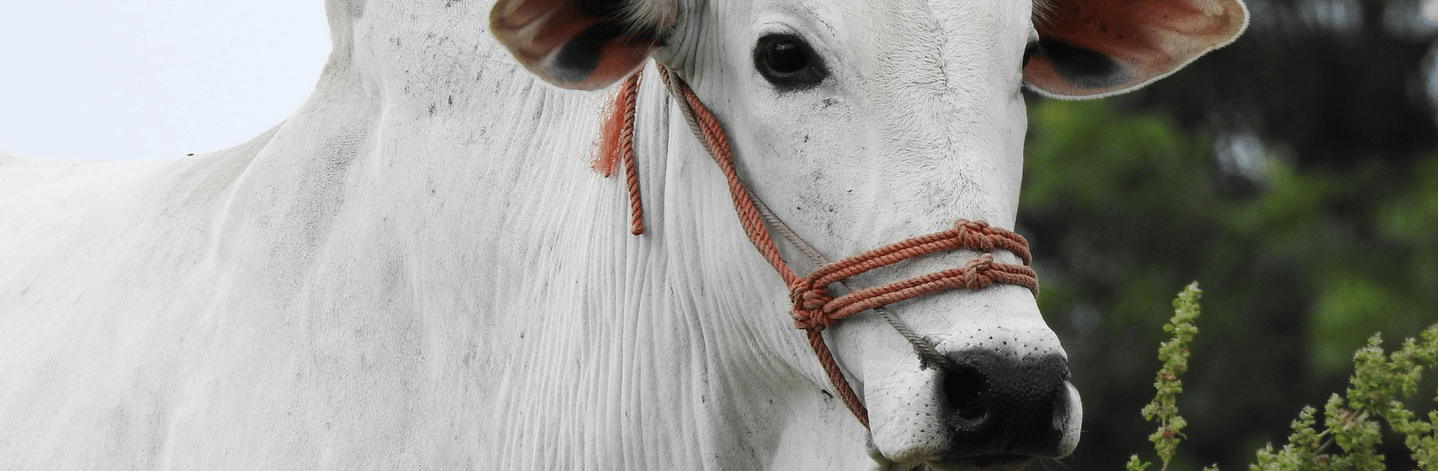 pexels-dropshado-5867871